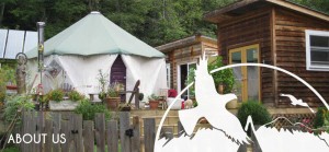 Picture of small yurt style tent home with logo elements overlayed and text About Us