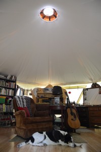 Happy dog, guitar and book shelves paint a cozy picture of the interior of this living tent home, a Yome by Red Sky Shelters