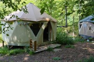 A group of Yome yurt tent homes in the forest