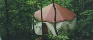 Deep in the forest a warm looking Yome tent home welcomes its friends home