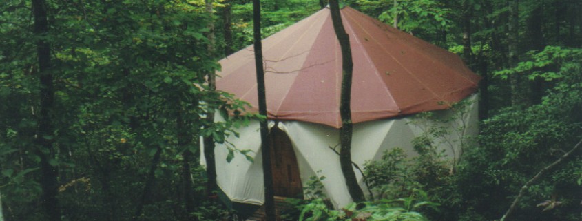 Deep in the forest a warm looking Yome tent home welcomes its friends home