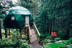 Geodesic dome on a raised platform in an evergreen forest