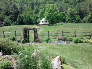 Yome in a pasture ringed by split rail fence with flower gardens and rock placements