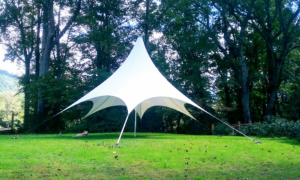 A large white shade tent on grassy lawn