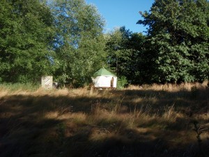 Nomadic tent home placed on ridge by the woods at the edge of tawny pasture in late summer